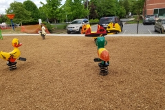 20170502_101903